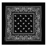 Fashion, accesorii si bijuterii - Femei - Accesorii femei - Esarfe si fulare femei - Bandana bumbac, paisley, culoare neagra, dimensiune 54 x 54cm - Infinity.ro