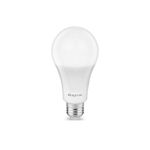 Casa si Gradina - Corpuri si surse de iluminat - Becuri si tuburi neon - Becuri - Bec LED 18W 1600LM A80 3000K E27 Braytron BR-18W.3 - Infinity.ro
