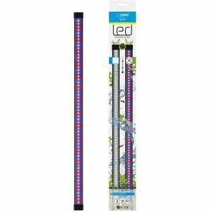 Benzi LED Marshall CIANO CLN5 8 W