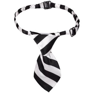 Petshop - Articole imbracaminte - Alte accesorii imbracaminte - Infinity.ro