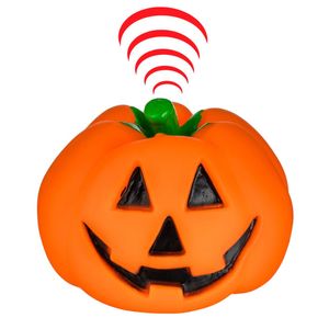 Petshop - Accesorii petshop - Infinity.ro