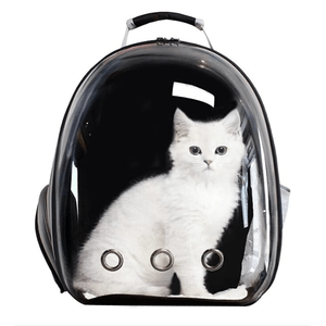 Petshop - Accesorii petshop - Culcusuri si custi - Infinity.ro