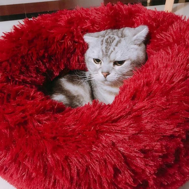 Petshop - Accesorii petshop - Culcusuri si custi - Culcusuri si saltele - Pat pentru animale de companie, Caini si pisici de talie mica,Diametru 50 cm, Pufos - Albastru - Infinity.ro