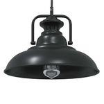 Casa si Gradina - Corpuri si surse de iluminat - Veioze si lampi - Lampi de veghe - Lampa suspendata E27 Negru Ø 31 cm Fier - Infinity.ro