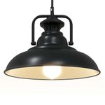 Casa si Gradina - Corpuri si surse de iluminat - Veioze si lampi - Lampi de veghe - Lampa suspendata E27 Negru Ø 31 cm Fier - Infinity.ro