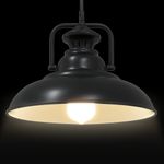 Casa si Gradina - Corpuri si surse de iluminat - Veioze si lampi - Lampi de veghe - Lampa suspendata E27 Negru Ø 31 cm Fier - Infinity.ro
