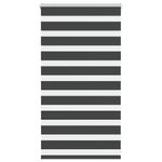 Casa si Gradina - Textile si covoare - Rulouri si jaluzele - Jaluzea tip zebra neagra latime tesatura 65,9 cm poliester, mărime 70x100 cm - Infinity.ro