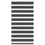 Casa si Gradina - Textile si covoare - Rulouri si jaluzele - Jaluzea tip zebra neagra latime tesatura 65,9 cm poliester, mărime 70x150 cm - Infinity.ro