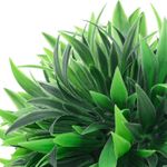 Casa si Gradina - Decoratiuni - Obiecte decorative - Plante artificiale - Mingi artificiale din lemn de cimis cu lumini LED 2 buc Verde - Infinity.ro