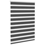 Casa si Gradina - Textile si covoare - Rulouri si jaluzele - Jaluzea tip zebra neagra latime tesatura 110,9 cm poliester, mărime 115x100 cm - Infinity.ro