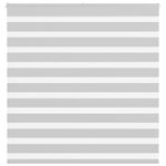 Casa si Gradina - Textile si covoare - Rulouri si jaluzele - Jaluzea tip zebra gri deschis latime tesatura 140,9cm poliester, mărime 145x100 cm - Infinity.ro