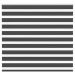 Casa si Gradina - Textile si covoare - Rulouri si jaluzele - Jaluzea tip zebra neagra latime tesatura 155,9 cm poliester, mărime 160x150 cm - Infinity.ro