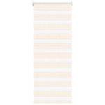 Casa si Gradina - Textile si covoare - Rulouri si jaluzele - Jaluzea tip zebra 65x100 cm latime tesatura 60,9 cm poliester, bej marmorat - Infinity.ro