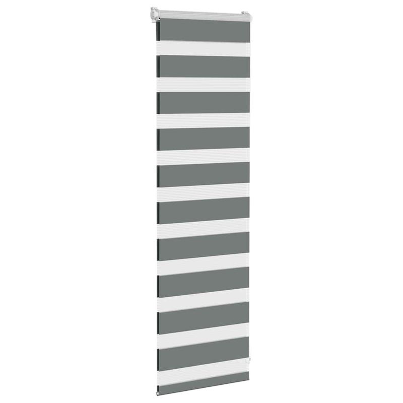 Casa si Gradina - Textile si covoare - Rulouri si jaluzele - Jaluzea tip zebra gri inchis latime tesatura 45,9 cm poliester, mărime 50x100 cm - Infinity.ro