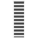 Casa si Gradina - Textile si covoare - Rulouri si jaluzele - Jaluzea tip zebra neagra latime tesatura 50,9 cm poliester, mărime 55x100 cm - Infinity.ro
