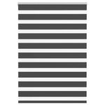 Casa si Gradina - Textile si covoare - Rulouri si jaluzele - Jaluzea tip zebra neagra latime tesatura 95,9 cm poliester, mărime 100x150 cm - Infinity.ro