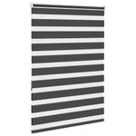 Casa si Gradina - Textile si covoare - Rulouri si jaluzele - Jaluzea tip zebra neagra latime tesatura 95,9 cm poliester, mărime 100x150 cm - Infinity.ro