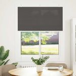 Casa si Gradina - Textile si covoare - Rulouri si jaluzele - Jaluza plisata negru 110x100 cm Latime tesatura 109,4 cm - Infinity.ro