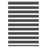 Casa si Gradina - Textile si covoare - Rulouri si jaluzele - Jaluzea tip zebra neagra latime tesatura 105,9 cm poliester, mărime 110x150 cm - Infinity.ro