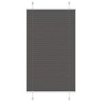 Casa si Gradina - Textile si covoare - Rulouri si jaluzele - Jaluza plisata negru 75x100cm Latime tesatura 74,4 cm poliester - Infinity.ro