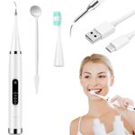 Ingrijire personala si Cosmetice - Igiena dentara - Periute de dinti electrice - Periuta de dinti electrica 2 in 1, cu cap pentru indepartarea tartrului, multe moduri de curatare, Turcoaz - Infinity.ro