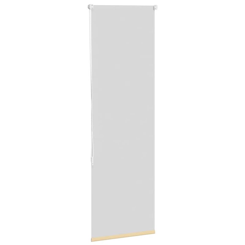 Casa si Gradina - Textile si covoare - Rulouri si jaluzele - Jaluza cu role opace bej 60x175 cm latime material 55,7 cm - Infinity.ro