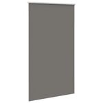 Casa si Gradina - Textile si covoare - Rulouri si jaluzele - Jaluza cu role opace gri 145x230 cm Latime material 141,6 cm - Infinity.ro