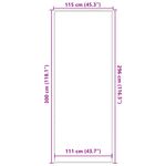 Casa si Gradina - Textile si covoare - Covoare - Covorase intrare - Pres negru 115x300 cm - Infinity.ro