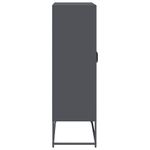 Casa si Gradina - Mobilier - Comode si corpuri - Corpuri bucatarie - Dulap inalt, antracit, 68x39x123 cm, otel - Infinity.ro