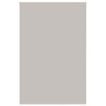 Casa si Gradina - Textile si covoare - Rulouri si jaluzele - Jaluza cu rola de dus 160x240 cm latime material 156 cm, gri deschis - Infinity.ro