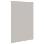 Casa si Gradina - Textile si covoare - Rulouri si jaluzele - Jaluza cu rola de dus 160x240 cm latime material 156 cm, gri deschis - Infinity.ro