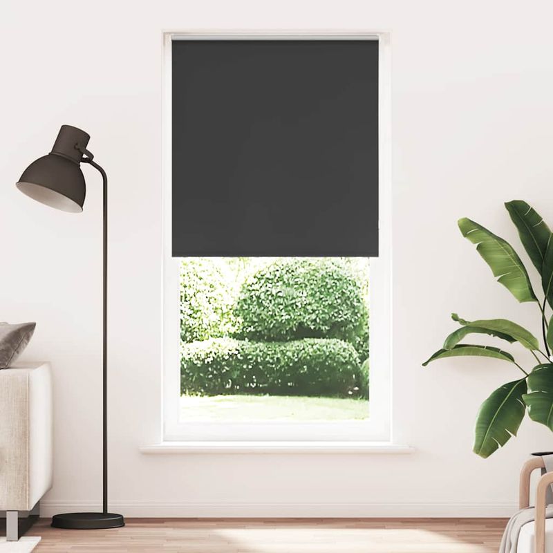 Casa si Gradina - Textile si covoare - Rulouri si jaluzele - Jaluza cu role opace negru 115x210 cm Latime material 110,7 cm - Infinity.ro