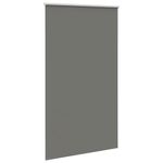 Casa si Gradina - Textile si covoare - Rulouri si jaluzele - Jaluza cu role opace gri 130x230 cm Latime material 126,6 cm - Infinity.ro