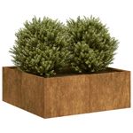 Casa si Gradina - Gradinarit si plante - Plante si ghivece - Ghivece si suporturi - Jardiniera Rusty 80x80x30 cm Otel pentru intemperii - Infinity.ro