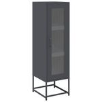 Casa si Gradina - Mobilier - Comode si corpuri - Corpuri bucatarie - Dulap inalt, antracit, 36x39x123 cm, otel laminat la rece - Infinity.ro