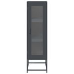 Casa si Gradina - Mobilier - Comode si corpuri - Corpuri bucatarie - Dulap inalt, antracit, 36x39x123 cm, otel laminat la rece - Infinity.ro