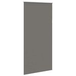 Casa si Gradina - Textile si covoare - Rulouri si jaluzele - Jaluza cu role opace gri 100x210 cm latime material 95,7 cm - Infinity.ro