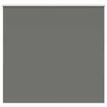 Casa si Gradina - Textile si covoare - Rulouri si jaluzele - Jaluza cu role opace gri 145x175 cm Latime material 141,6 cm - Infinity.ro
