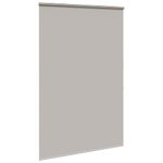 Casa si Gradina - Textile si covoare - Rulouri si jaluzele - Jaluza cu role de dus cu caseta 150x240cm latime material 146cm, gri deschis - Infinity.ro