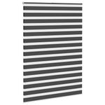 Casa si Gradina - Textile si covoare - Rulouri si jaluzele - Jaluzea tip zebra neagra latime tesatura 155,9 cm poliester, mărime 160x200 cm - Infinity.ro
