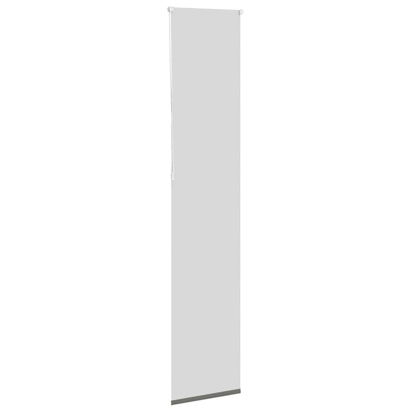 Casa si Gradina - Textile si covoare - Rulouri si jaluzele - Jaluza cu role opace gri 45x210 cm latime material 40,7 cm - Infinity.ro