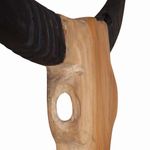 Casa si Gradina - Decoratiuni - Tablouri - Sculptura craniu de taur, 66x15x88 cm, tec - Infinity.ro