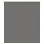 Casa si Gradina - Textile si covoare - Rulouri si jaluzele - Jaluza cu role opace gri 130x175 cm latime material 126,6 cm - Infinity.ro