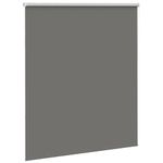 Casa si Gradina - Textile si covoare - Rulouri si jaluzele - Jaluza cu role opace gri 130x175 cm latime material 126,6 cm - Infinity.ro
