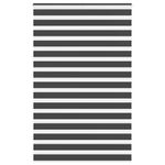 Casa si Gradina - Textile si covoare - Rulouri si jaluzele - Jaluzea tip zebra neagra latime tesatura 145,9 cm poliester, mărime 150x200 cm - Infinity.ro