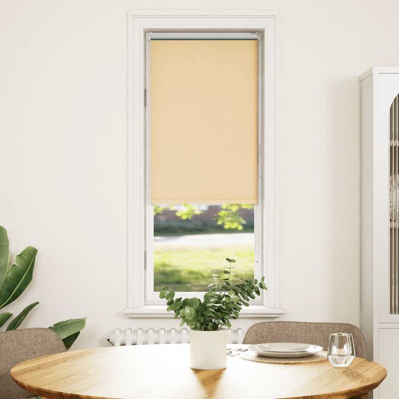 Casa si Gradina - Textile si covoare - Rulouri si jaluzele - Jaluza cu role opace bej 60x130 cm latime material 55,7 cm - Infinity.ro