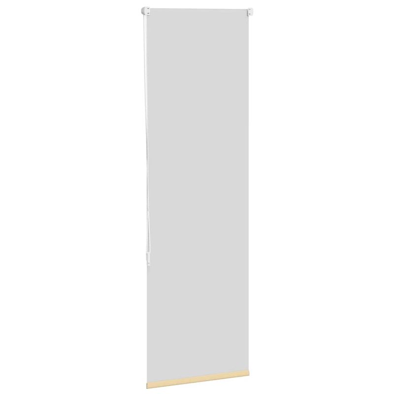 Casa si Gradina - Textile si covoare - Rulouri si jaluzele - Jaluza cu role opace bej 60x130 cm latime material 55,7 cm - Infinity.ro