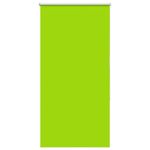 Casa si Gradina - Textile si covoare - Rulouri si jaluzele - Jaluza cu role opace 65x130 cm latime material 60,7 cm, frunze verzi - Infinity.ro