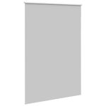 Casa si Gradina - Textile si covoare - Rulouri si jaluzele - Jaluza cu role opace 155x210 cm Latime material 151,6 cm, gri deschis - Infinity.ro