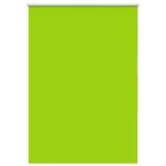 Casa si Gradina - Textile si covoare - Rulouri si jaluzele - Jaluza cu role opace 115x150 cm Latime material 110,7 cm, frunze verzi - Infinity.ro